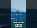 Yelkenli Tekne Direğini Kırdı! Bodrum Açıklarında Kaza Anı Kamerada