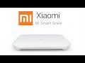 Умные весы Xiaomi Mi Smart Scale. Полный обзор