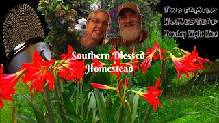 Final Monday of 2020 - New Years show!