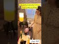عيوش تقعد على الكيكه عيوش تقعد على الكيكه
