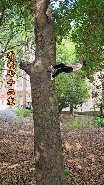 Do you still remember which classic clip of Journey to the West this is? @ Xiaomei Special Effects
