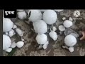 Gumla में बर्फबारी से शिमला का अनुभव // Gumla में ये नजारा पहली बार #gumla