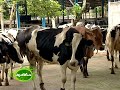 JK Farms Dairy  Kollam