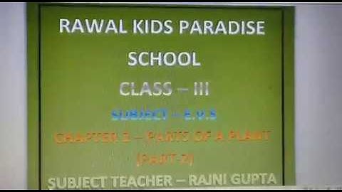 Class- III, Subject- EVS, Topic- Parts of a Plant,  Part 2, Rawal Kids Paradise
