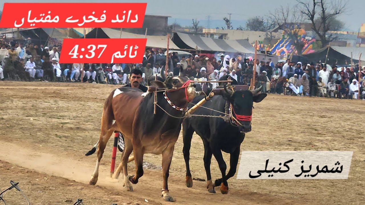 Ch asif muftiyan dina | 3rd position mela baraghwa | dand fakhry muftiyan