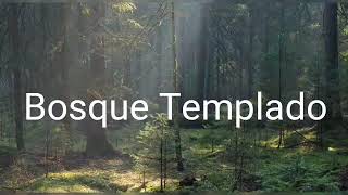 Bosque Templado 🌲
