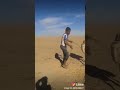 هاد ابو سيف الركاوي وكت يمزح معا حمودي الركاوي وعطونه رايكم بتعليق ۦ ۦ 