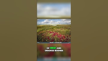 TUNDRA SCENERY TUTORIAL #planetzoo