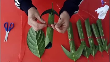 Cách làm con Trâu từ Lá Mít