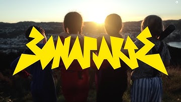 Bonaparte - May The Best Sperm Win (Official Music Video)