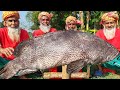 30 KG Giant Grouper Fish Vuna - Big Vol Fish Cooking in Village - Fish Curry for Special people