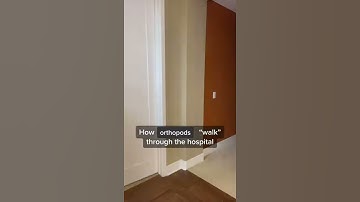 Doctors Walking (part 2) by VickiChanMD