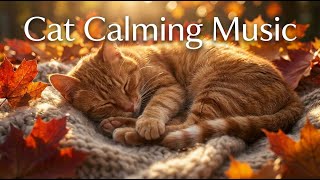 Musica calmante per gatti 😺 Musica rilassante per dormire con un'accogliente atmosfera autunnale screenshot 2