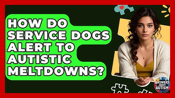 How Do Service Dogs Alert To Autistic Meltdowns? - Answers About Autism