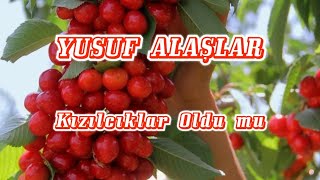 Kızılcıklar Oldu Mu - Yusuf Alaşlar - Edirne Türküsü