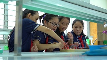 TRƯỜNG THCS CÁT LÁI QUẬN 2