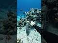 Lifted a buried motorcycle and its wheel started turning...🏍️🌊#akdeepocean #foryou #shorts
