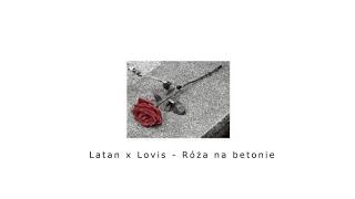 0W3L X Lovis - Róża Na Betonie