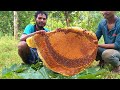 Worlds Biggest Honeycomb Harvest | Harvesting And Eating Honeycomb | Honey Hunting Video In India