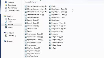 Windows 7 Renaming Multiple Files at once
