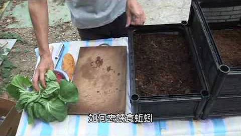 蚯蚓愛廚餘(環保綠巨人)-台灣蚯蚓養殖推廣中心 - 天天要聞