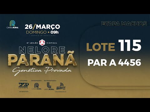 LOTE 115 PAR A4456