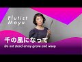 【フルート&ピアノ】千の風になって / 新井満作曲 / メアリー・フライ作詞 / Do not stand at my grave and weep