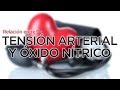 Lo que Aprendí sobre la relación del Óxido Nítrico y la Tensión Arterial
