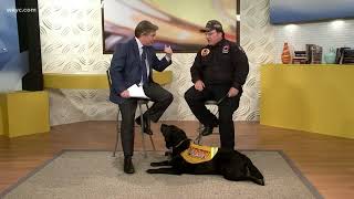 The Kasey Program teaches fire survival with dogs
