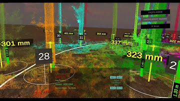 The Forest in Virtual Reality 3D Colour - Forest Inventory