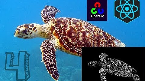 OpenCV.js React App Part 4