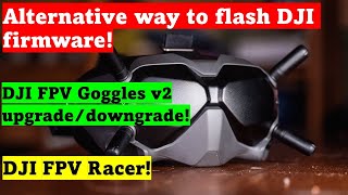 Flash DJI Goggles v2 Firmware | Drone-Hacks