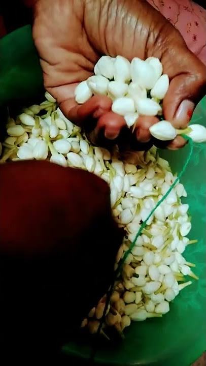Malligai Poo Madurai kattu