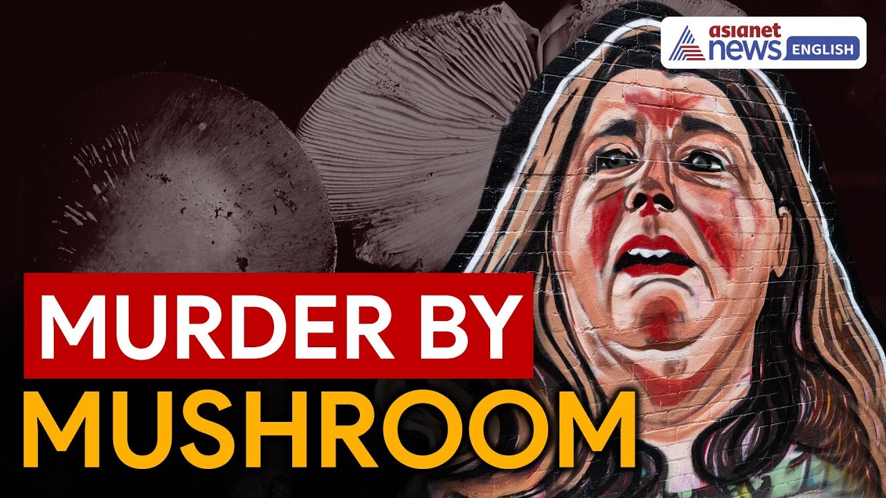 Death Cap Inside The Fungi Behind Australia's Mushroom Murders YouTube