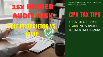 Top 5 IRS Audit Red Flags Every Small Business Must Know