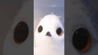 Piper overcame, the fear of the sea.// Piper (2016)#piper #movie #shortvideo #shorts #viralvideo Piper overcame, the fear of the sea.// Piper (2016)#piper #movie #shortvideo #shorts #viralvideo