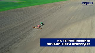 На Тернопільщині почали сіяти кукурудзу