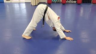 Online Course: Kids Intermediate TKD: Lesson #23