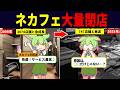 ネカフェ業界の客離れがヤバすぎた…【ずんだもん解説】