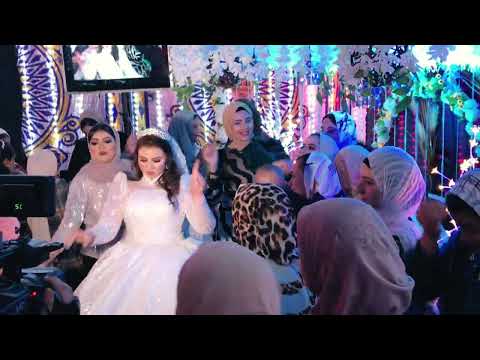 فرحه العروسه وصحابها حاجه تانيه  الموسيقار احمد ميمو   جديد شعبي 