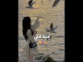 كلمتين احبها لما حد يقولي ياها فكرتي اشتراك_بالقناة blackpink اهميه lyrics kpop اعتني edit mp3