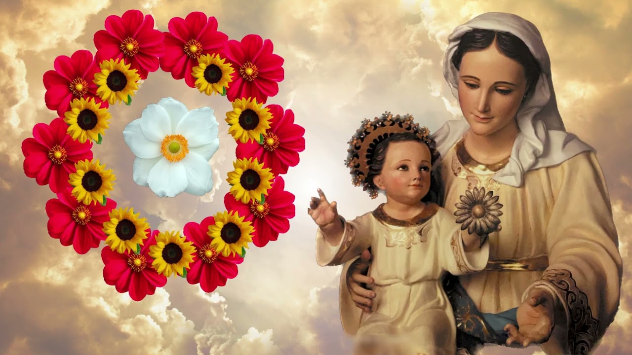 SANTO ROSARIO DE HOY DOMINGO 08 DE MARZO 2026.