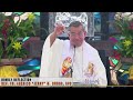      homily 28 april 2024 with fr jerry orbos svd on fifth sunday of easter