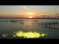 El Atardecer (Lago de La Albufera)