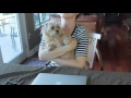 Beginning of video