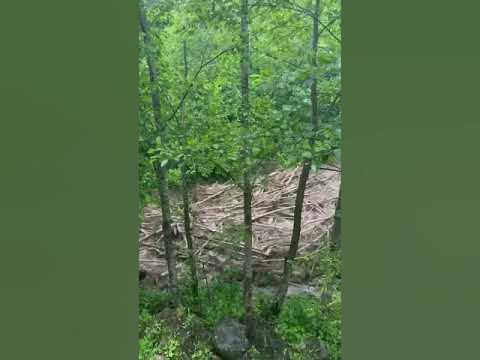 граза - YouTube