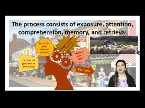 Consumer Information Processing Introduction