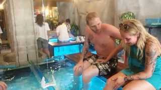 Fish Spa And Ticklish Boy
