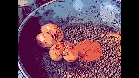 Calypso, After Ulysses A Short Film Poem