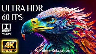 4K HDR 60fps Dolby Vision with Animal Sounds & Relaxing Music (Colorful Dynamic) #9